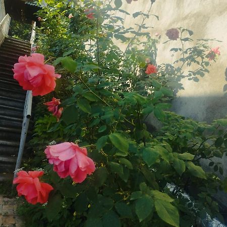 Apartamento Bbq House Dilijan Exterior foto